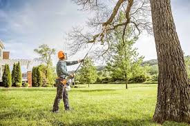 Best Landscape Design and Installation  in Darlington, WI