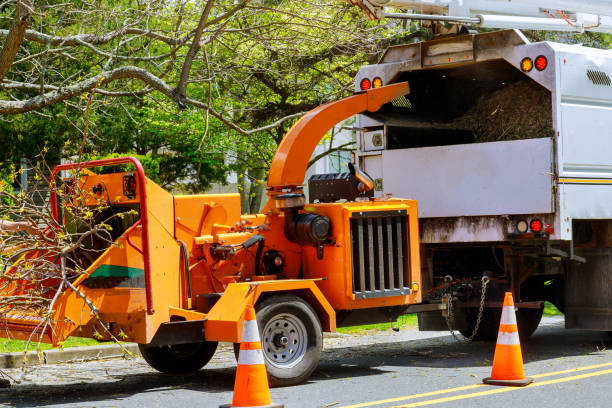 Best Firewood Processing and Delivery  in Darlington, WI